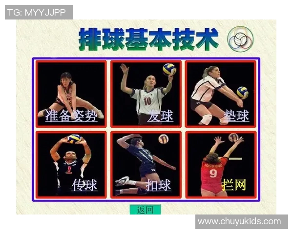 广州排球队的节奏揭秘：深入分析排球的魅力与战术策略