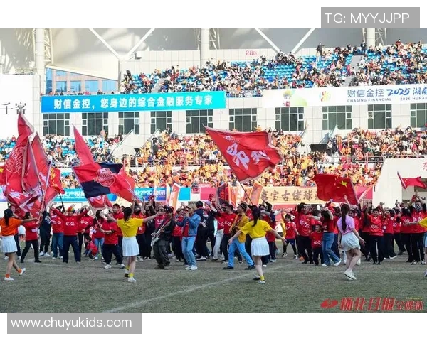 南京足球队在杯赛中的实力分析与表现评估